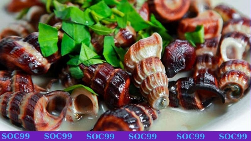 Món ốc len thơm ngon báo hiệu sự khởi đầu mới mẻ