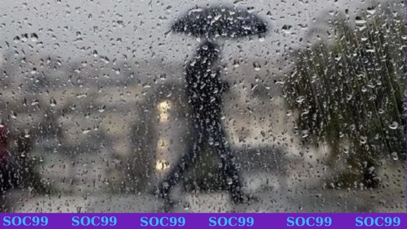 Nằm mơ thấy mưa ướt người