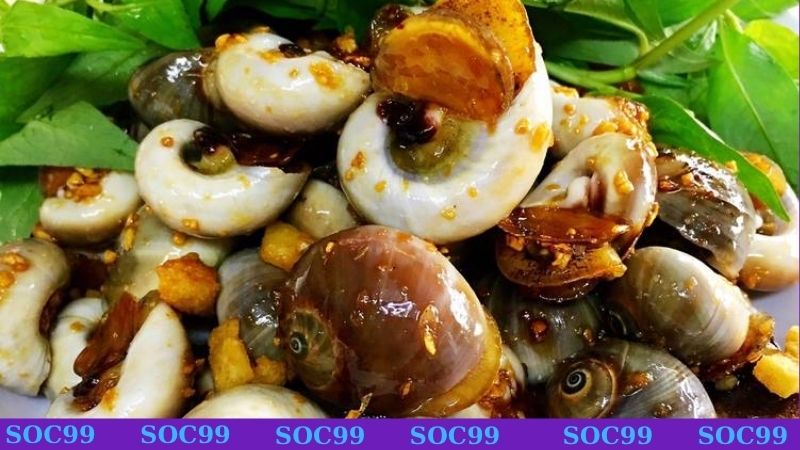 Hình ảnh bắt và thưởng thức ốc ở đồng ruộng thể hiện cuộc sống êm ả