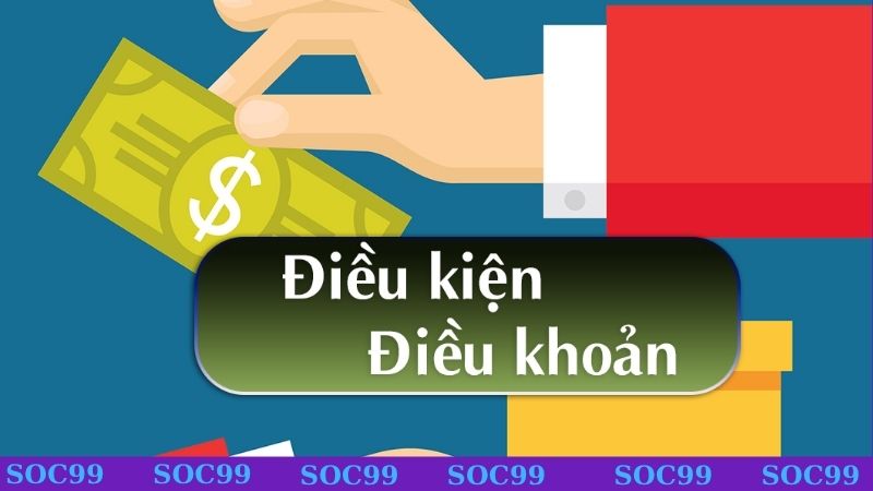 Vai trò về điều khoản nhà cái đối với hội viên